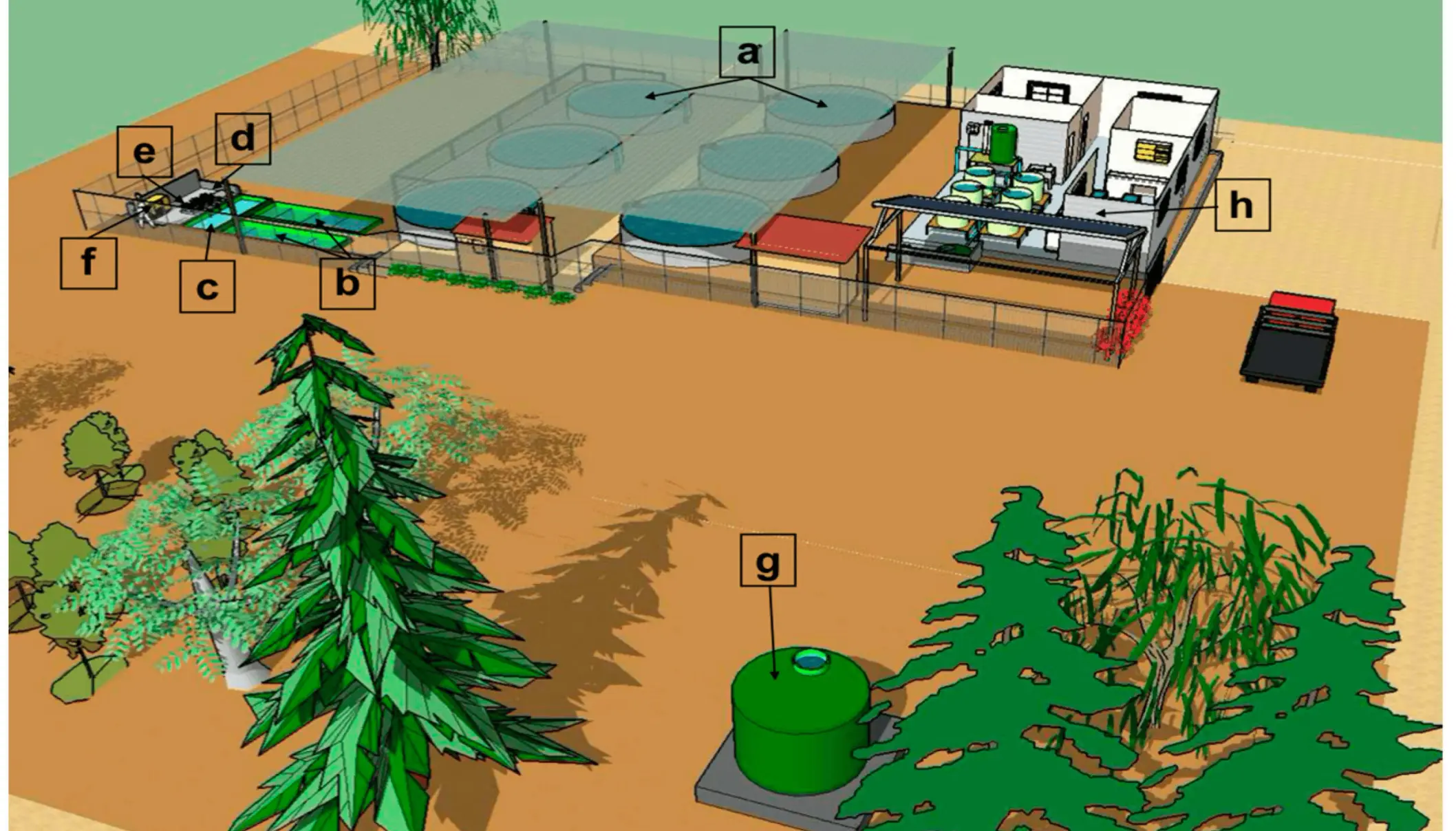 Logran cultivo de truchas a 3.000 metros sobre el nivel del mar