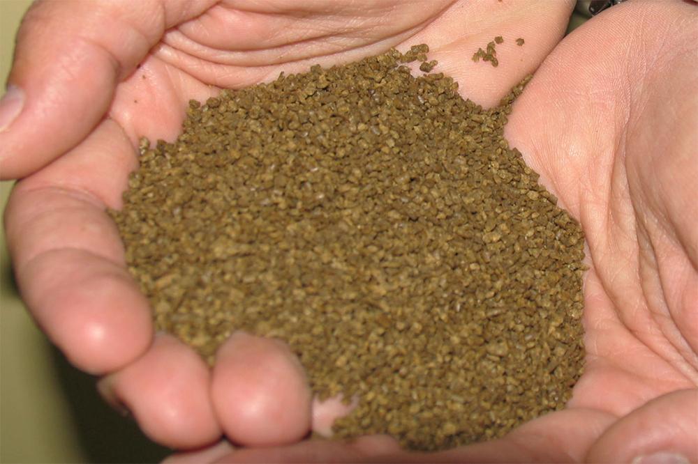 Evaluación del tamaño del pellet de alimento para carpas y tilapias en el crecimiento, el comportamiento alimentario y la red trófica natural en policultivos de estanques