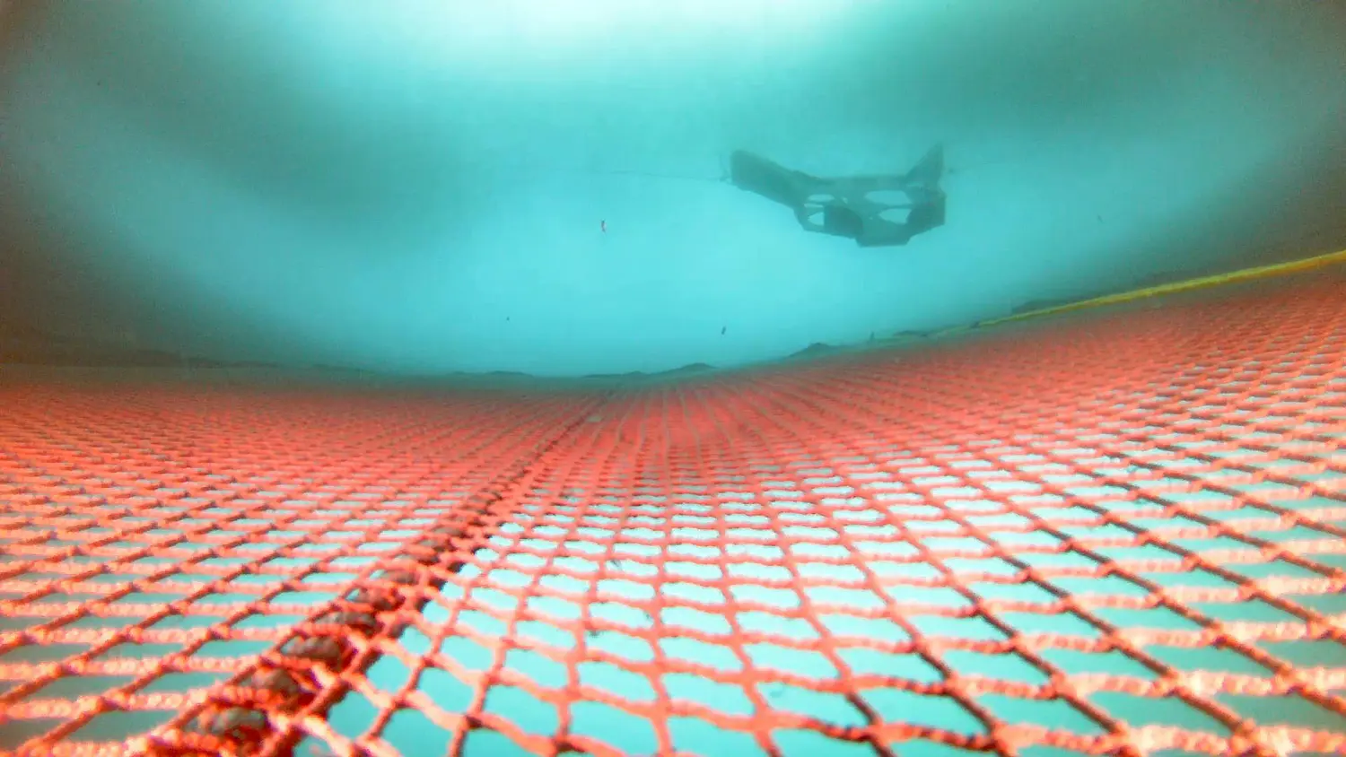 'Este trabajo no es para una persona': los robots submarinos asumen tareas difíciles en la acuicultura